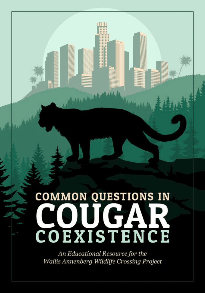 Common Questions in Cougar Co-Existence: An Educational Resource for the Wallis Annenberg Wildlife Crossing Project