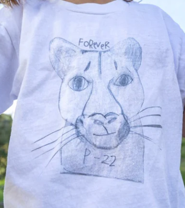 Adult Forever P-22 T-Shirt