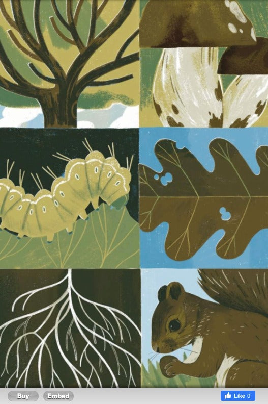 Wildlife Crossings of Hope: Connecting Creatures Around the Globe