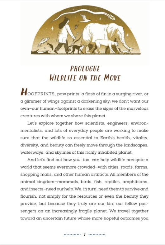 Wildlife Crossings of Hope: Connecting Creatures Around the Globe