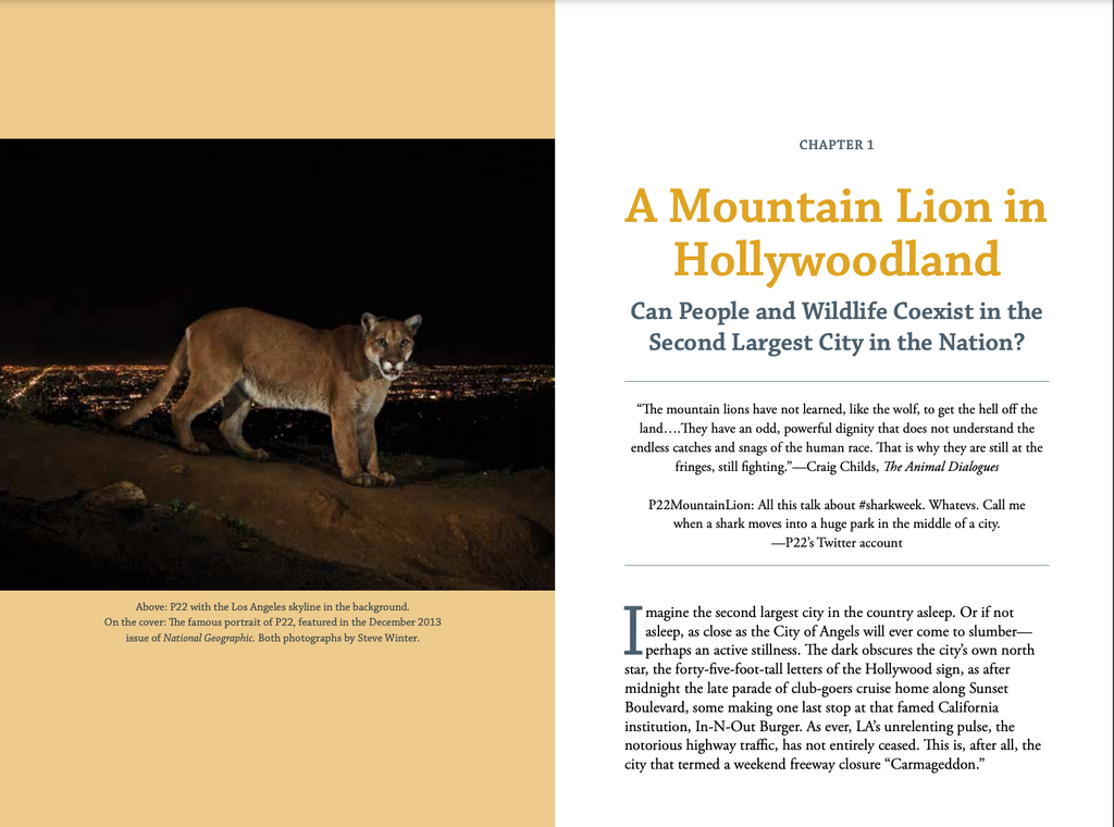When Mountain Lions Are Neighbors: People and Wildlife Working it Out in California