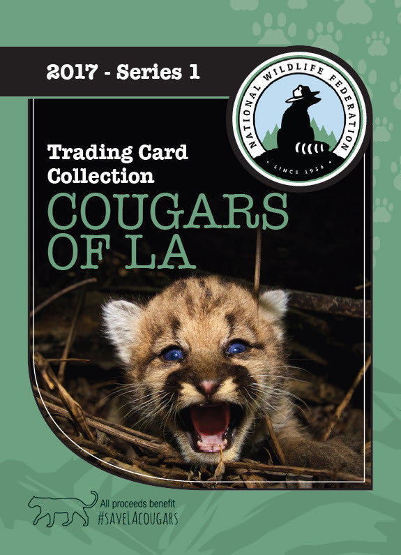 Cougars of LA Trading Cards: 2017 Series 1