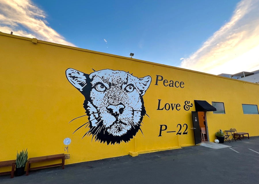 Peace Love and P-22 Poster