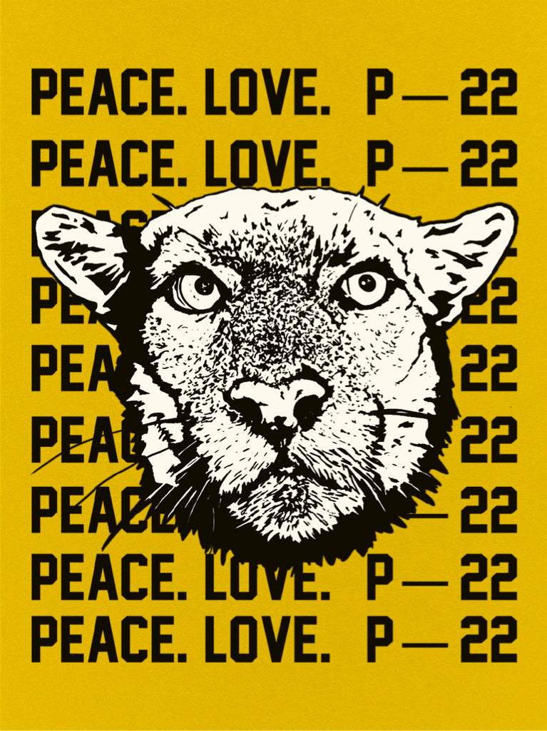 Peace Love and P-22 Poster