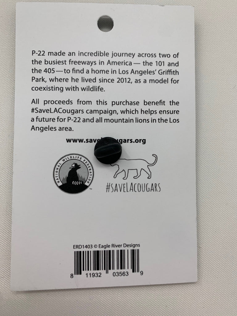 P22 Day Festival 2019 Pin